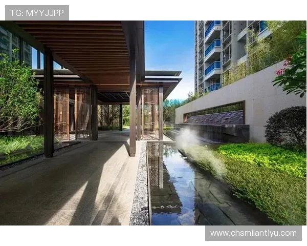 关于ld体育平台的安全保障措施与隐私保护策略全面解析，保障用户权益